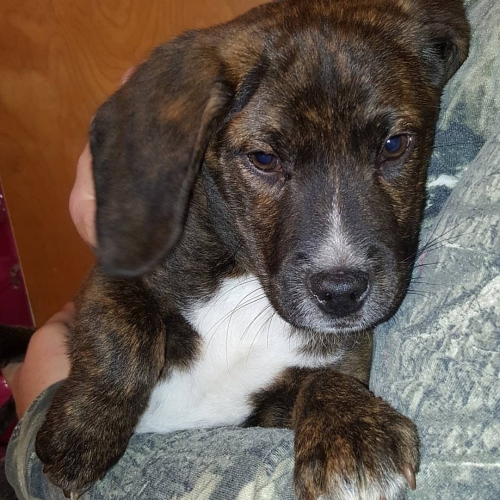 Meet your Posher, Alisha